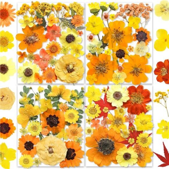 150PCS Yellow Dried Pressed Flowers for Resin - YouthBro Real Nature Flowers - Picture 1 of 8